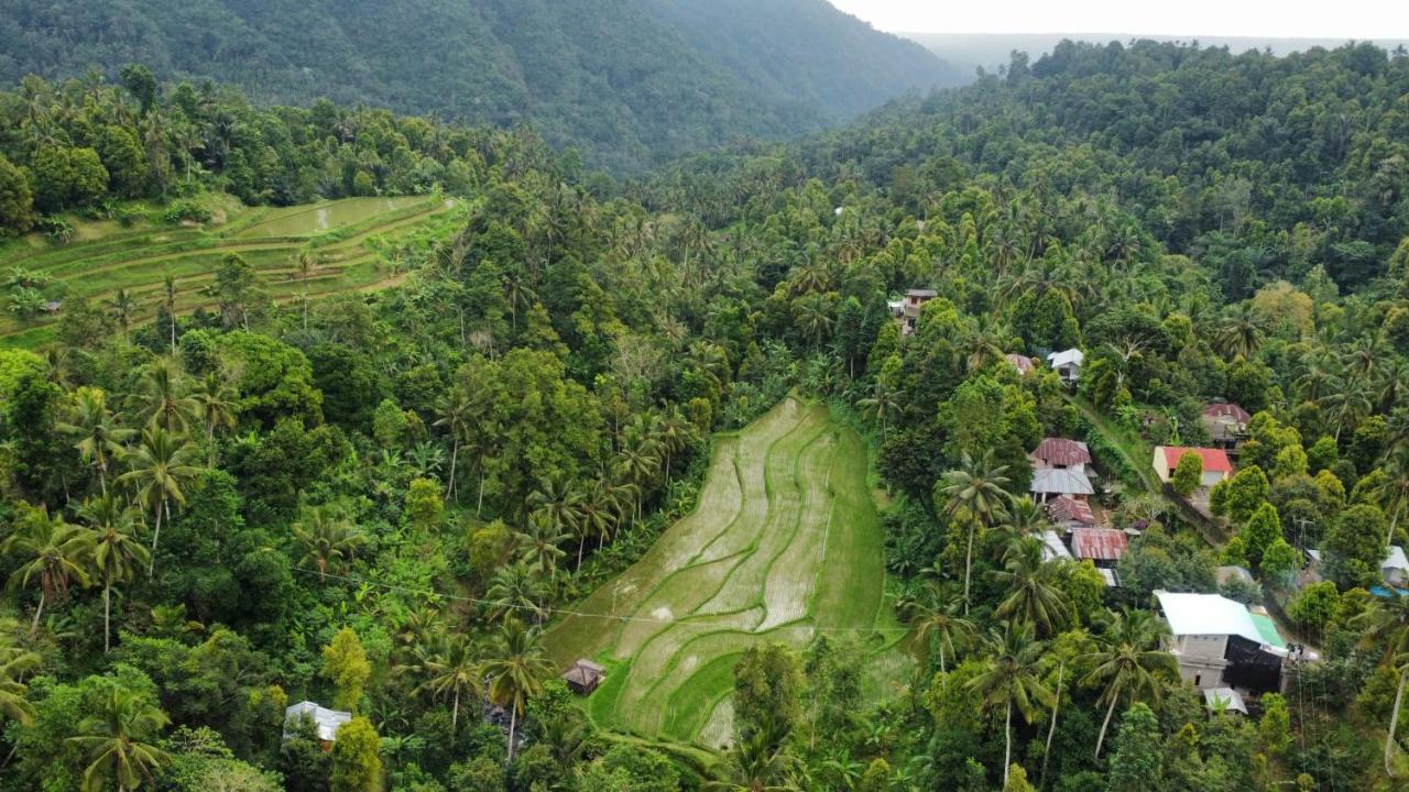 Ananda Homestay Lemukih Singaraja Kültér fotó