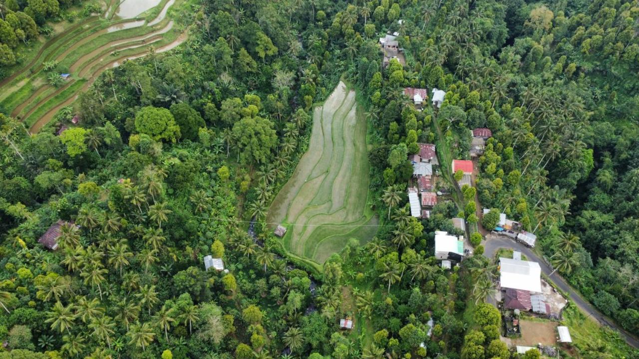 Ananda Homestay Lemukih Singaraja Kültér fotó